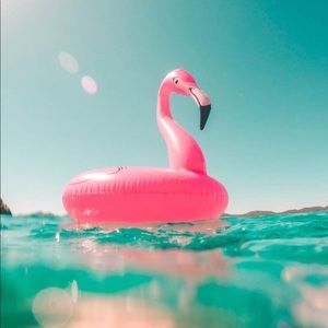 Meet your Posher, Imelda